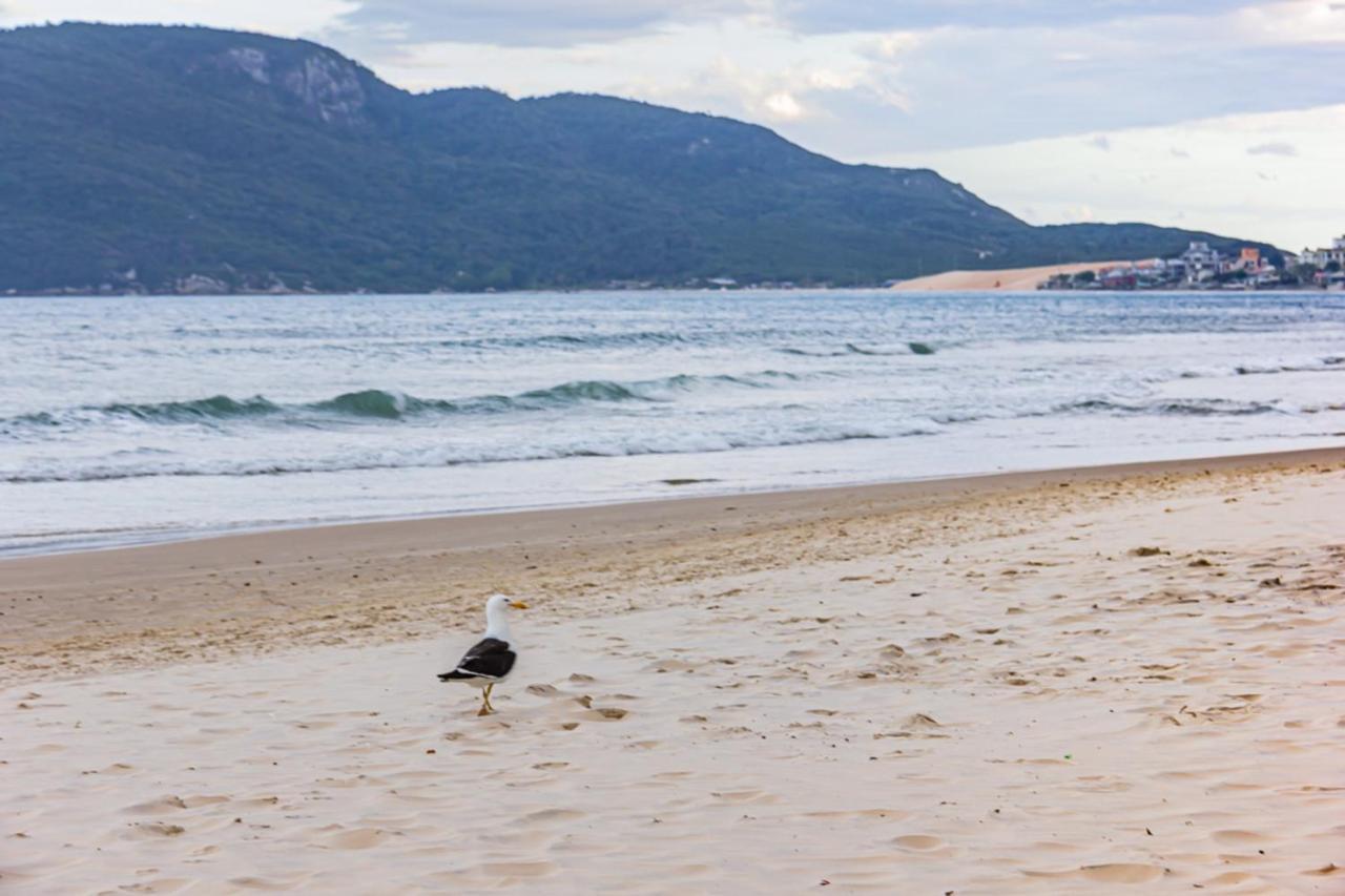 Cobertura Com Vista Mar Para 6 Hospedes, 150 Metros Da Praia Dos Ingleses Ing17 Florianópolis Εξωτερικό φωτογραφία